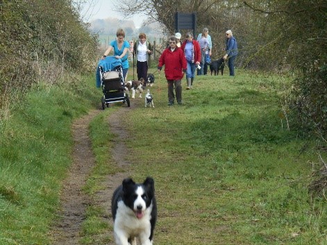 walks